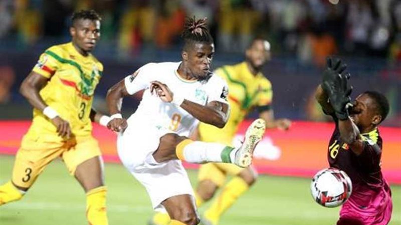 الأفيال تضرب موعدا