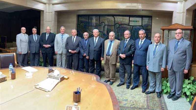 الدستورية العليا