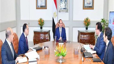 الرئيس السيسي يؤكد على أهمية الجامعات التكنولوجية