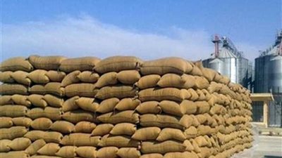 محافظ الغربية : توريد 139 ألف طن قمح إلى صوامع وشون وهناجر المحافظة