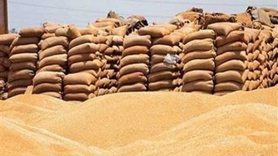 توريد 263 ألف طن قمح لشون وصوامع البحيرة
