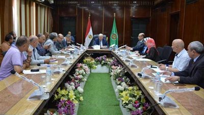 محافظ الدقهلية يكشف عن بديل 