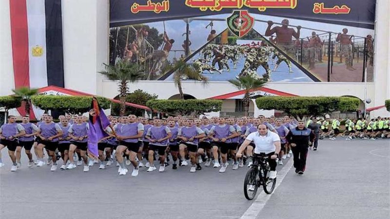 الرئيس السيسي يلتقى