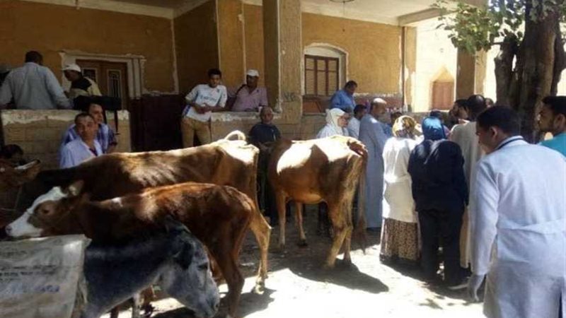 محافظ أسيوط: قوافل