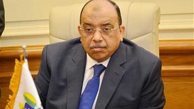 التنمية المحلية ترسخ مبدأ تكافؤ الفرص وتمكين المرأة بالمحافظات