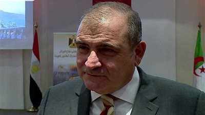 السفارة المصرية بالجزائر تصدر 4836 تأشيرة للجزائرين منذ بداية كأس الأمم الأفريقية