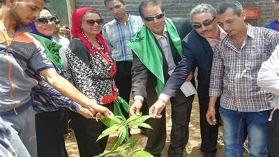 محافظ أسيوط: زراعة 100 شجرة مثمرة في حملة تشجير بـ