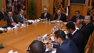وزير الخارجية يؤكد على اهتمام مصر بدعم جهود التنمية الشاملة في القارة الأفريقية