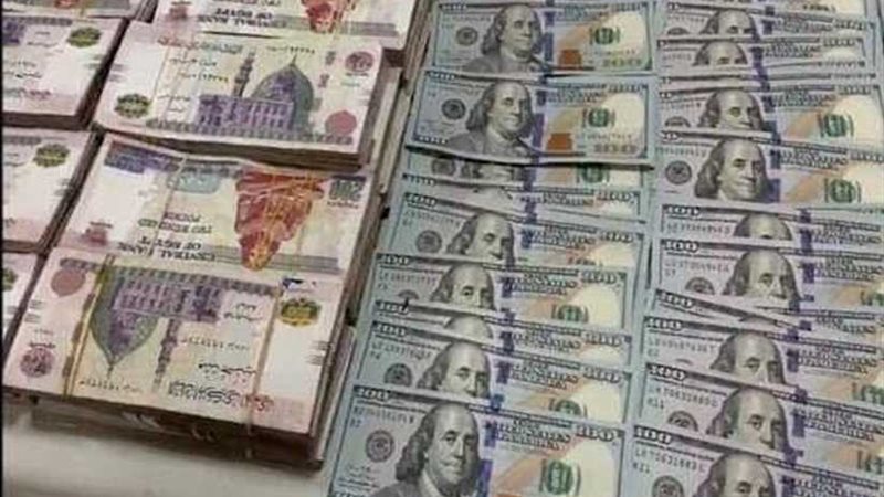 بالصور.. تعرف على