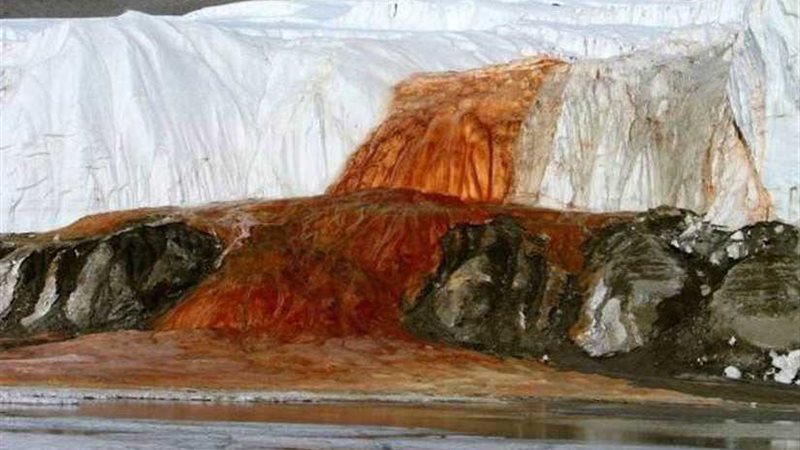 بالصور | شلالات الدم