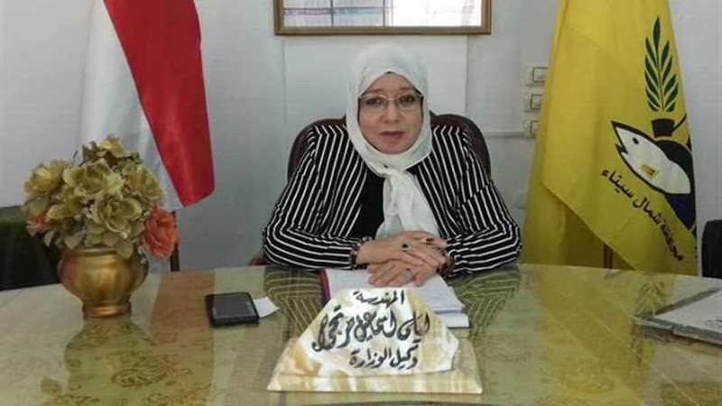 التربية والتعليم