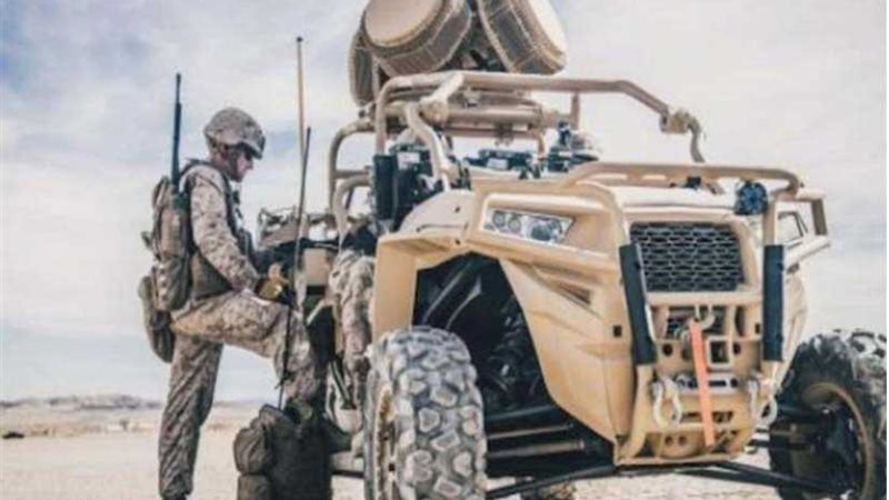 لماديس.. تعرف على