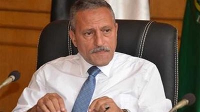 محافظ الإسماعيلية يعتمد قرار تقسيم أرض فيديكو إلى خمسة أحياء