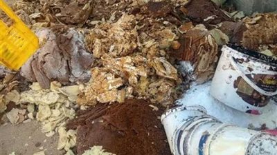 صحة الشرقية: غلق 42 منشأة وإعدام 3 أطنان أغذية بالمحافظة