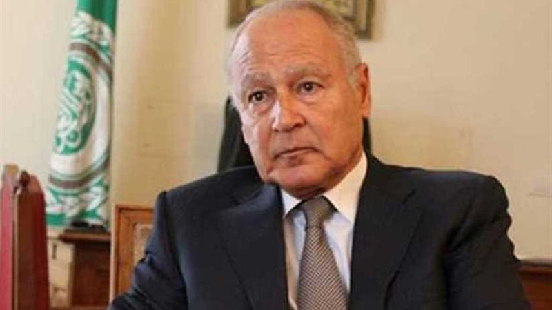 أبو الغيط وموسى فقي