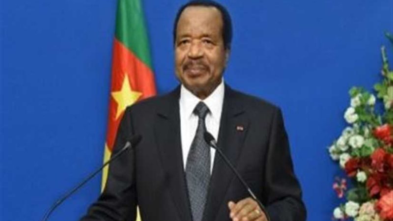 الكاميرون تتهم العناصر