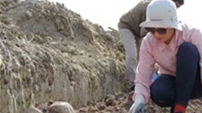 اكتشاف 38 مقبرة عمرها 375 عاما شمال شرقي الصين