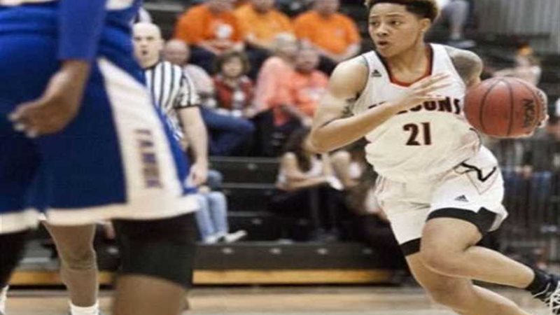 نادي جزيرة الورد