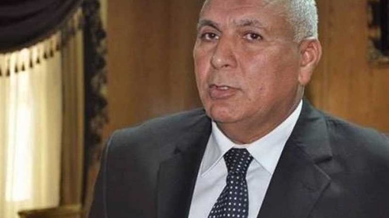 محافظ الوادي الجديد: