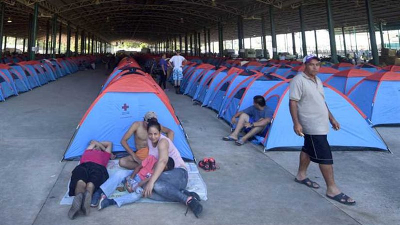 الشرطة المكسيكية