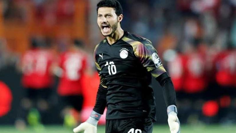 الشناوي يدخل دائرة