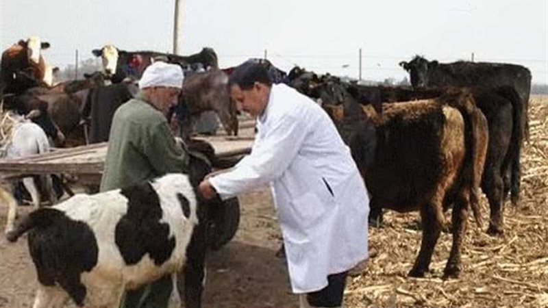 تحصين 314 ألف رأس