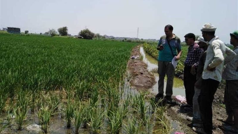 ترشيد استخدام المياه