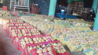 سوق المستقبل بمحافظة الإسماعيلية..أول سوق استثماري على مستوى الجمهورية