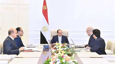 السيسي يوجه بمواصلة تشييد مدن الجيل الرابع ضمن المخطط الاستراتيجي للتنمية العمرانية في مصر