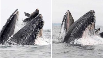 العمر لحظة.. 