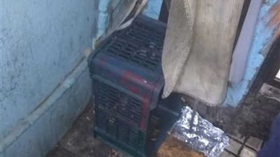 صحة الشرقية: غلق مطعم شهير بالزقازيق وإعدام أغذية فاسدة