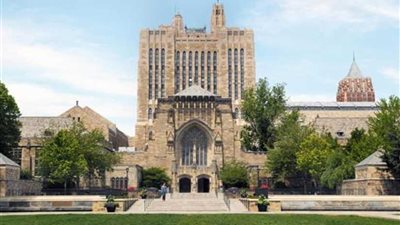 ما السبب الرئيسي للوفيات المفاجئة الغامضة؟.. 