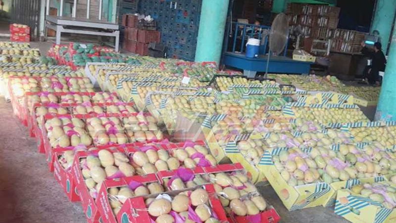 سوق المستقبل بمحافظة