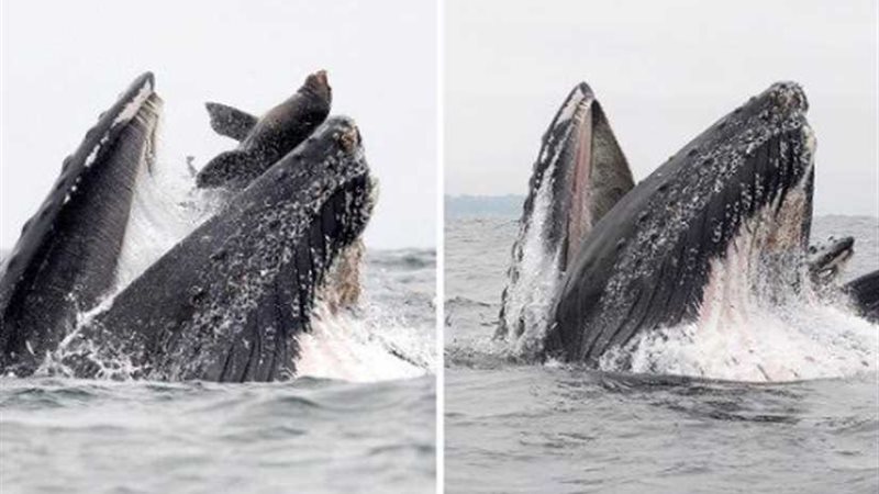 العمر لحظة.. الأحدب