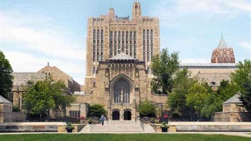 ما السبب الرئيسي