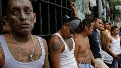 مجزرة في سجن برازيلي.. حرب عصابات تودي بحياة العشرات