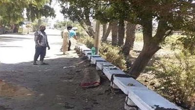 شباب الخير يطلقون مبادرة لتجميل المقابر بالمنيا