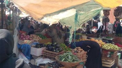 تحرير 11 محضرا تموينيا وتكثيف الحملات قبل العيد بالقنطرة