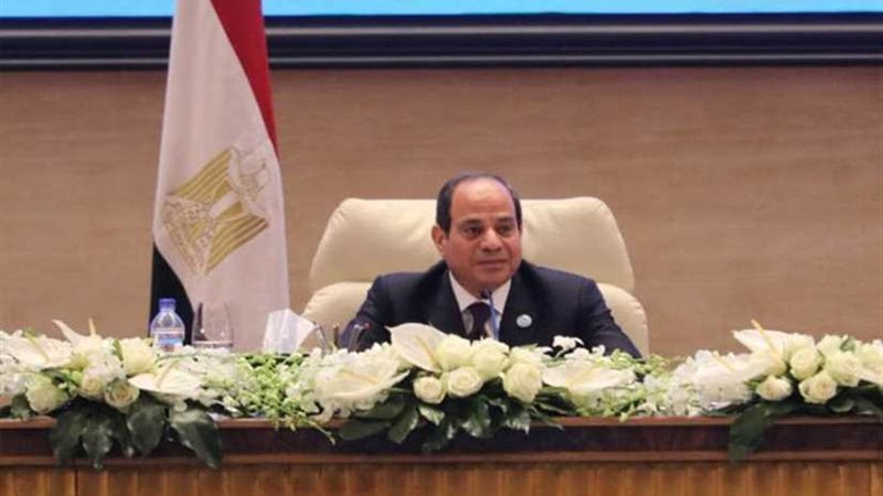 السيسي: الدولة وحدها