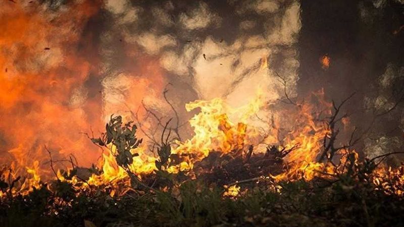 حرائق غابات روسيا