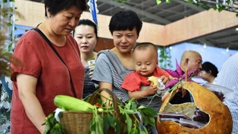 معرض زراعي صيني عربي