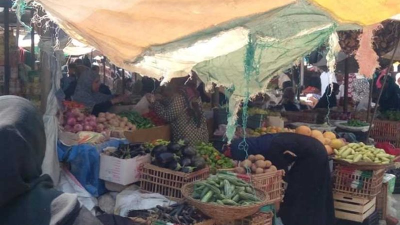 تحرير 11 محضرا تموينيا