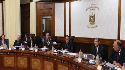 الحكومة: لجنة وزارية لتطوير منظومة تعاقدات شركات قطاع الأعمال