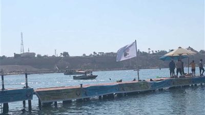 رئيس اتحاد الغوص: منتخب السباحة بالزعانف أضاف إنجازا جديدا للرياضة المصرية