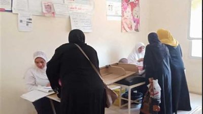 صحة البحيرة.. فحص 237 ألف سيدة في مبادرة الرئيس 