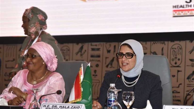 مصر تتسلم رئاسة اللجنة