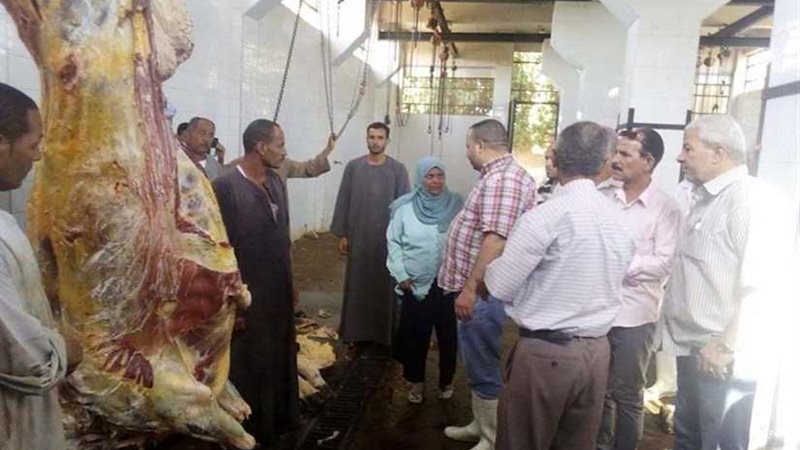 بيطري المنيا يعدم