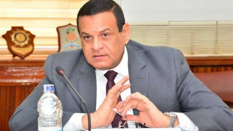 محافظ البحيرة: لجان