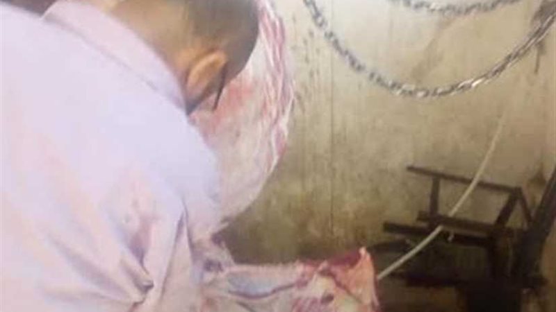 بيطري أبوتيج يعدم