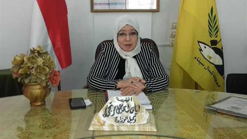 شمال سيناء تعلن استعدادها